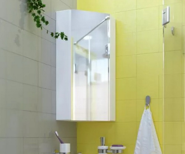 зеркало-шкаф 1MARKA PENTA 43