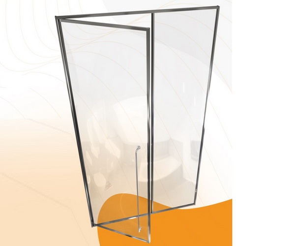 душевая дверь RADOMIR DARIA 100