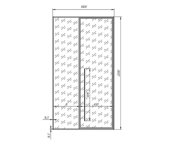 душевая дверь RADOMIR DARIA 100