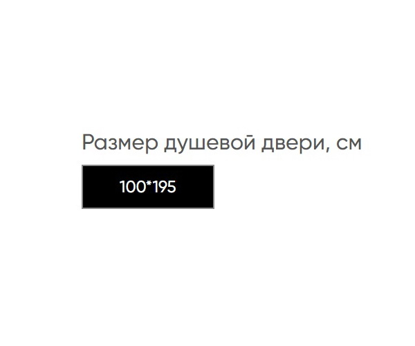 душевая дверь VECONI EVO 100G 100